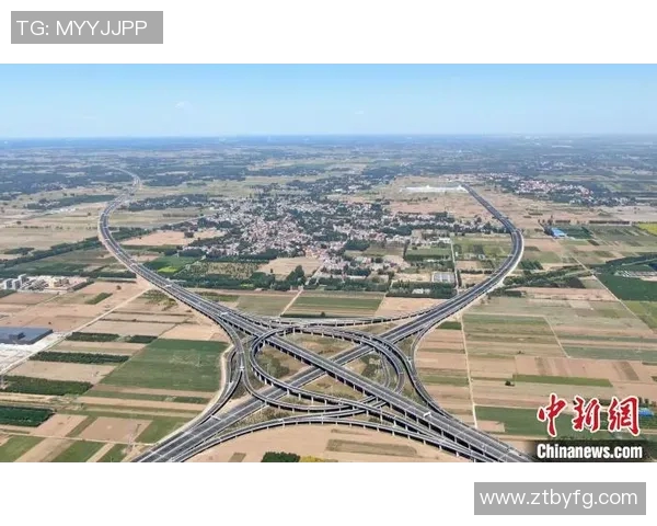 宾阳篮球明星的崛起之路与未来发展展望解析