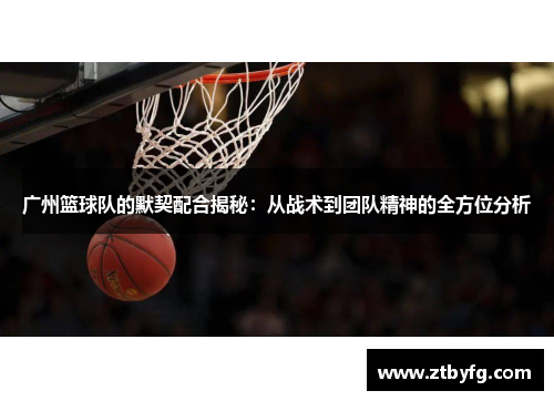 广州篮球队的默契配合揭秘：从战术到团队精神的全方位分析