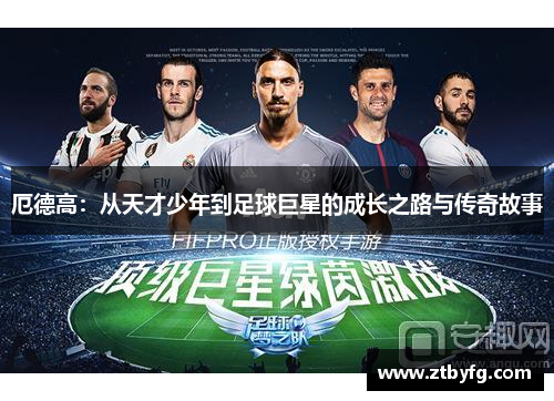 厄德高：从天才少年到足球巨星的成长之路与传奇故事